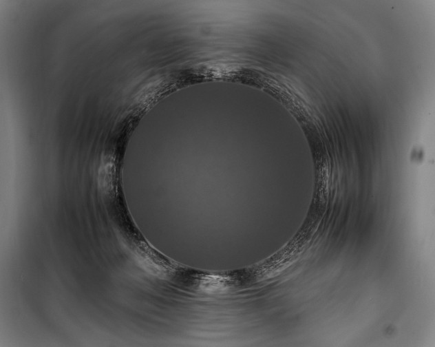 X0000100310222200806121048