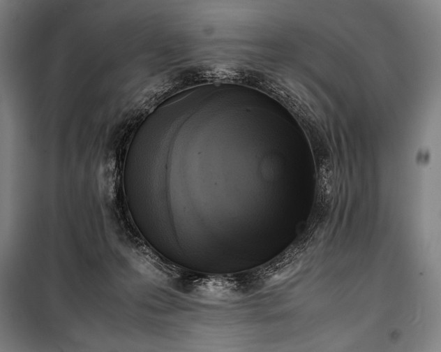 X0000100310223200806121048