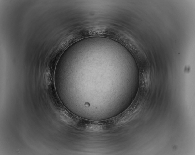 X0000100310224200806121048