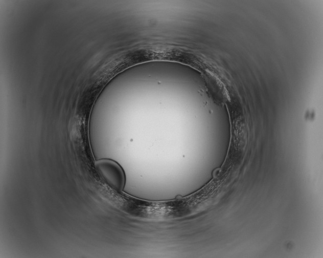 X0000100310225200806121048