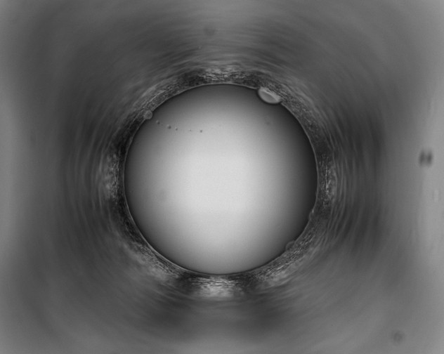 X0000100310226200806121048