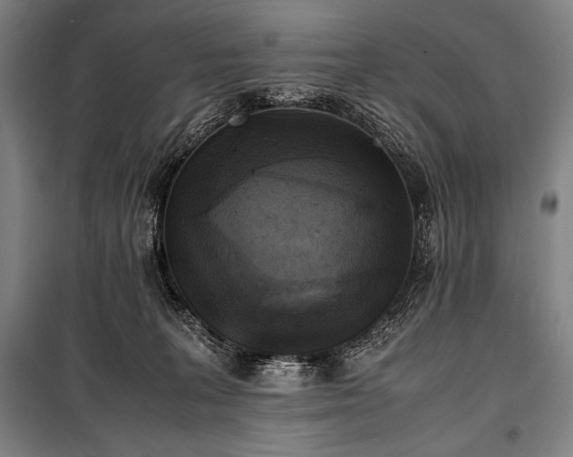 X0000100310227200806121048