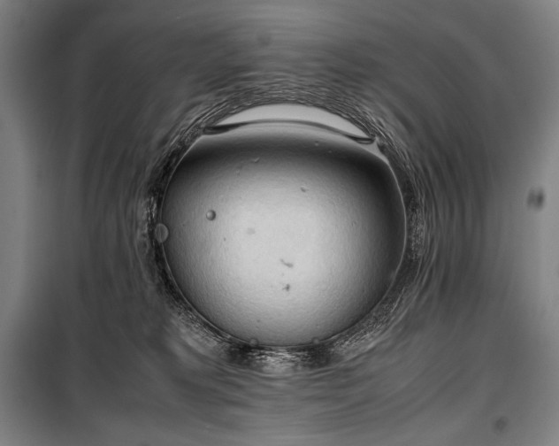 X0000100310229200806121048