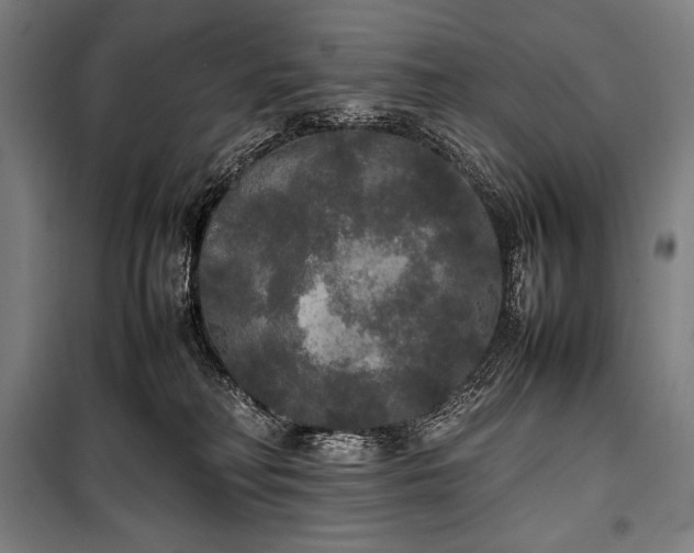 X0000100310230200806121048