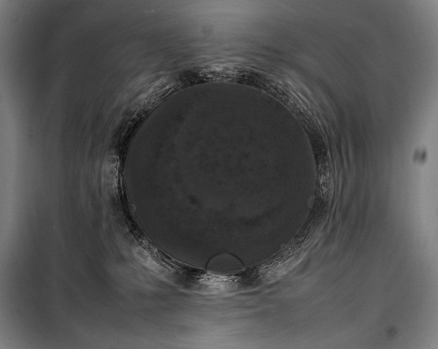 X0000100310231200806121048