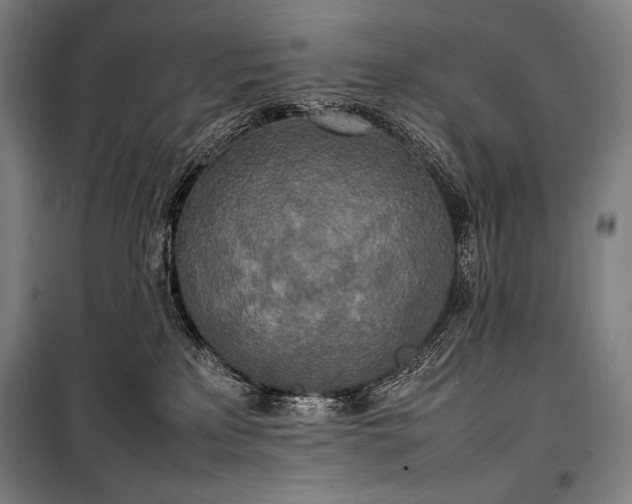 X0000100310233200806121048