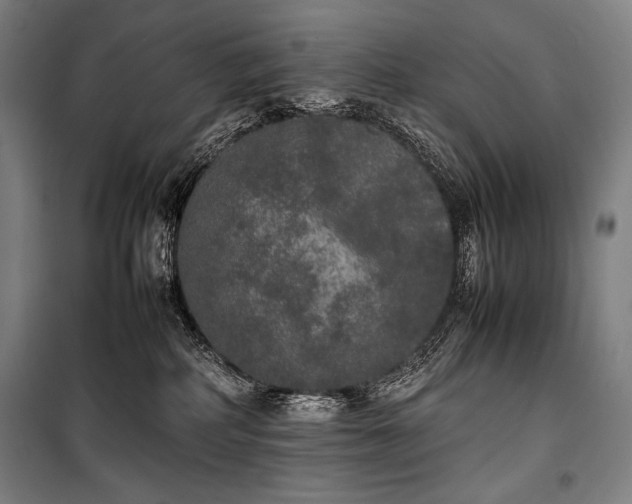 X0000100310234200806121048