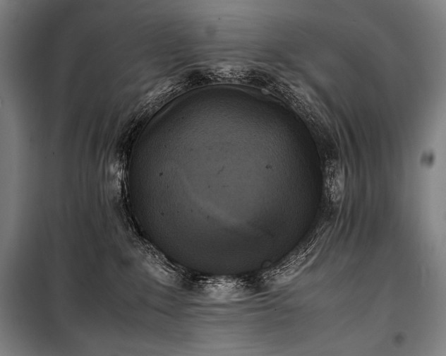 X0000100310235200806121048