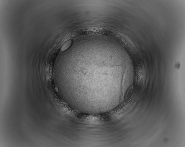 X0000100310236200806121048