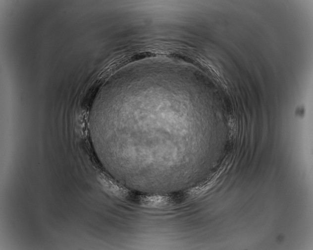X0000100310237200806121048