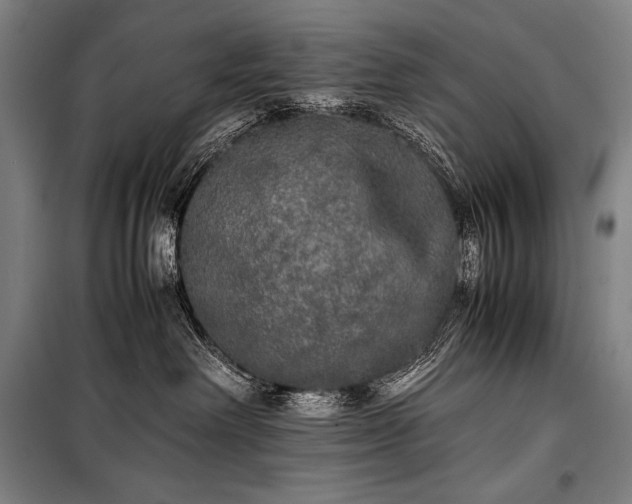 X0000100310238200806121047