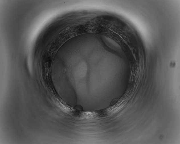 X0000100310239200806121047