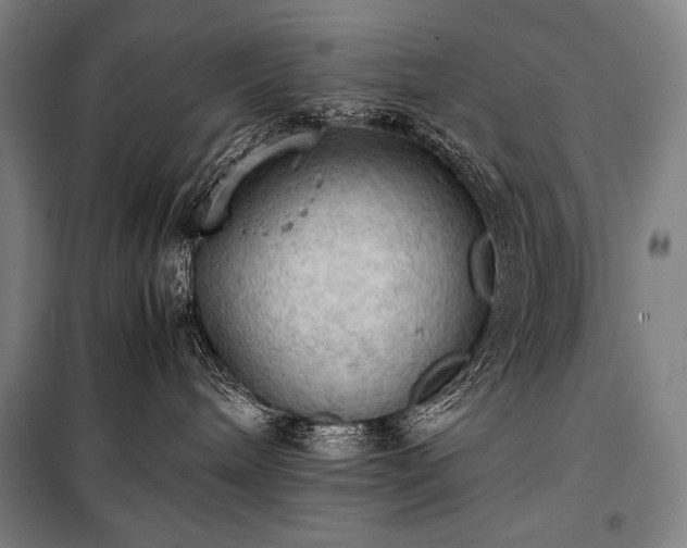 X0000100310240200806121047