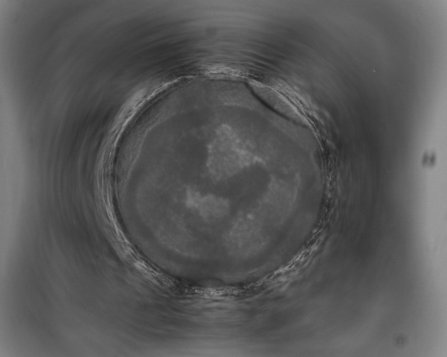 X0000100310241200806121047