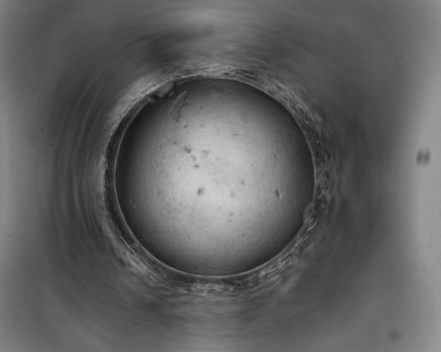 X0000100310242200806121047