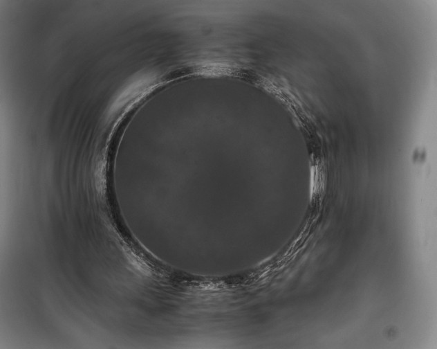X0000100310243200806121047