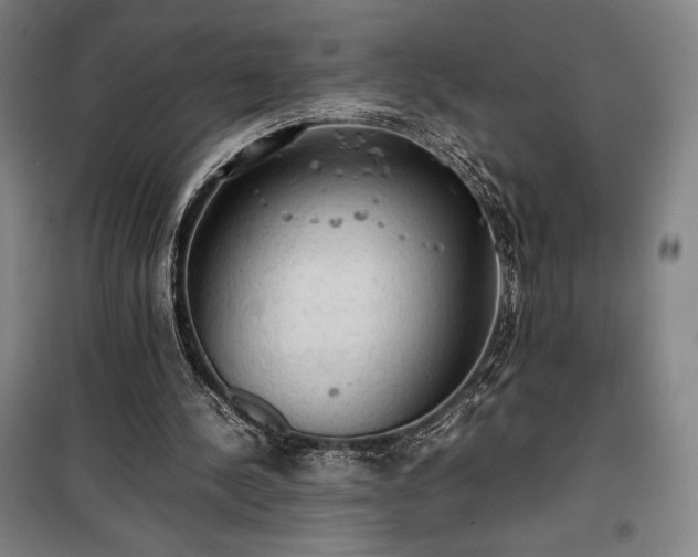 X0000100310244200806121047