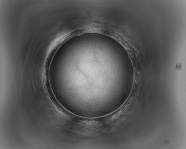 X0000100310245200806121047