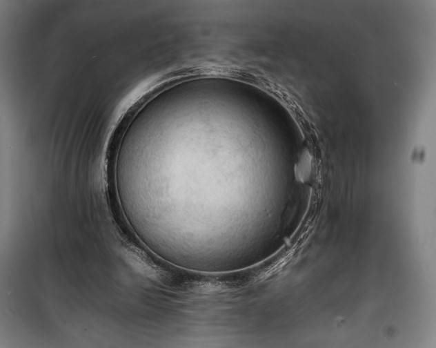 X0000100310246200806121047
