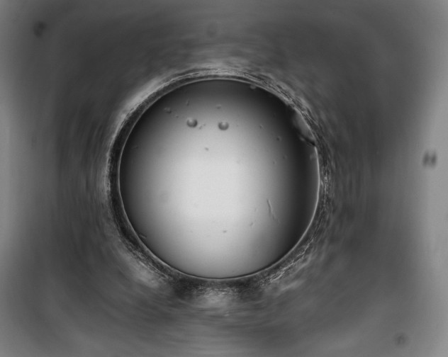 X0000100310248200806121047