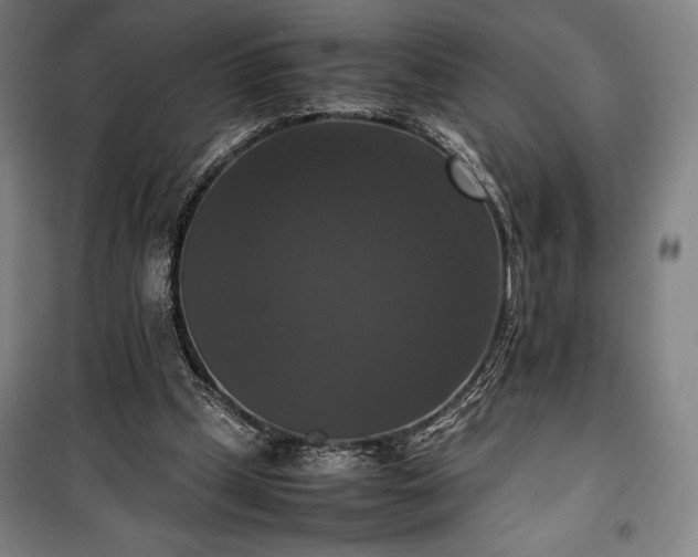 X0000100310249200806121047