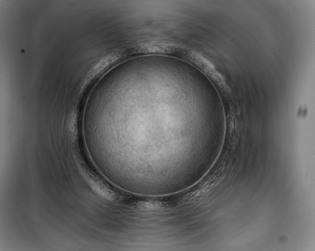 X0000100310250200806121047
