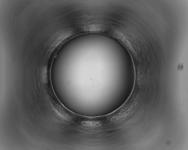 X0000100310251200806121047