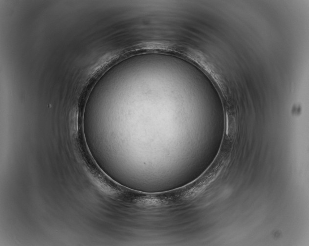 X0000100310253200806121047