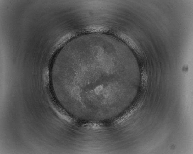 X0000100310254200806121047