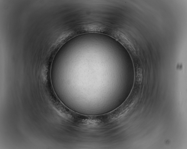 X0000100310255200806121047