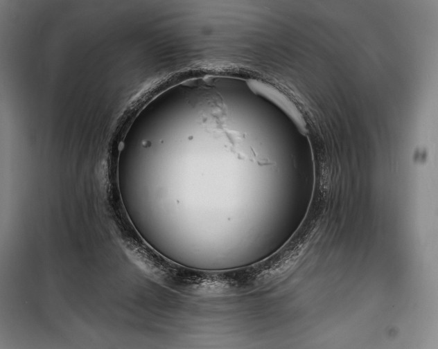 X0000100310256200806121047