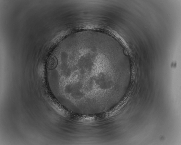 X0000100310257200806121047
