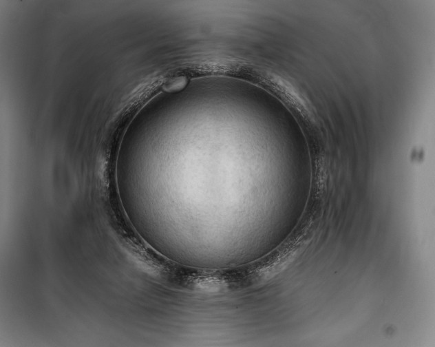 X0000100310258200806121047