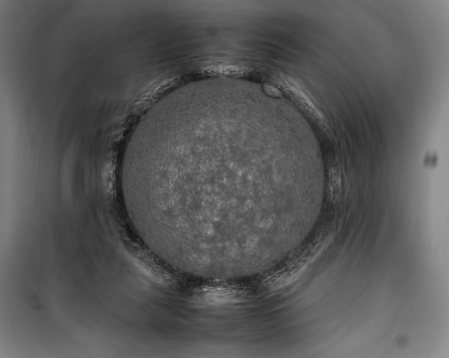 X0000100310259200806121047