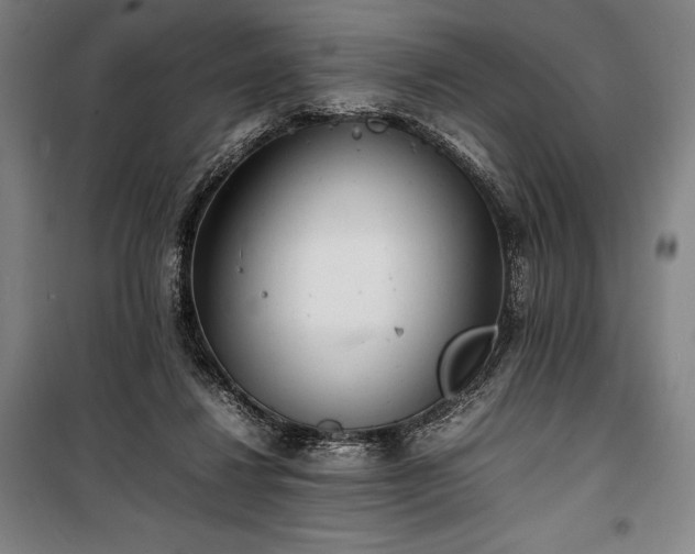 X0000100310260200806121047