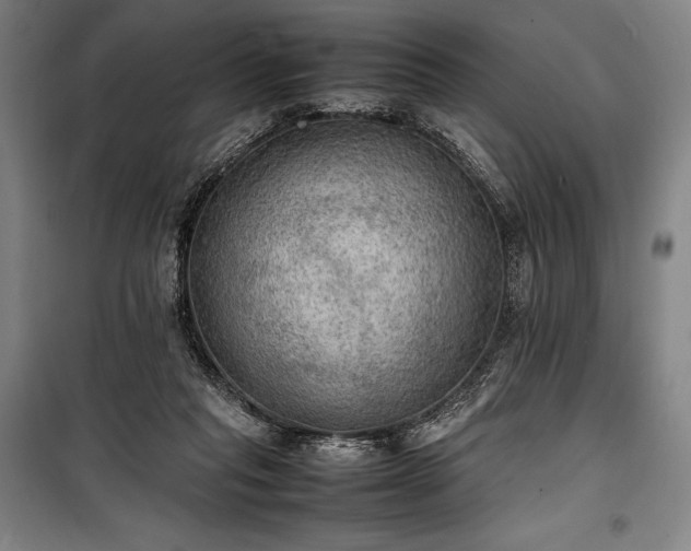 X0000100310261200806121047
