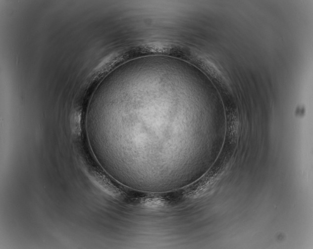 X0000100310262200806121047