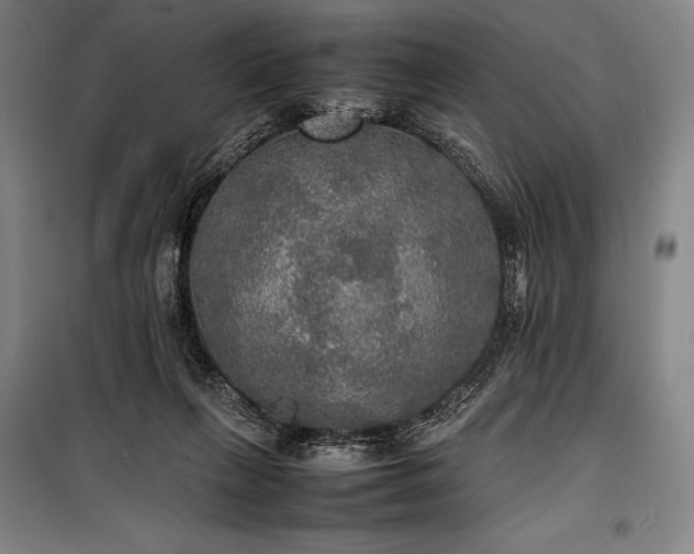 X0000100310263200806121047