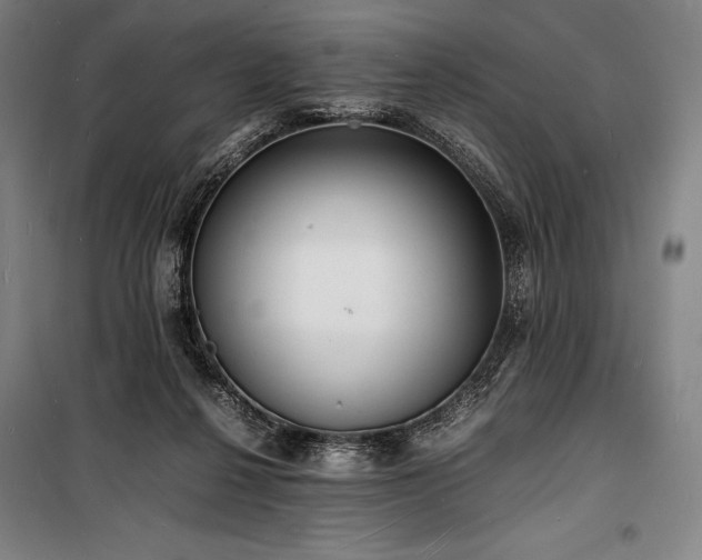 X0000100310264200806121047