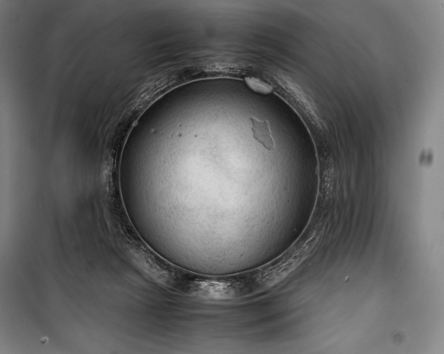 X0000100310265200806121047