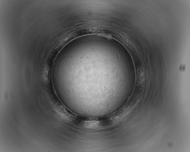 X0000100310266200806121047