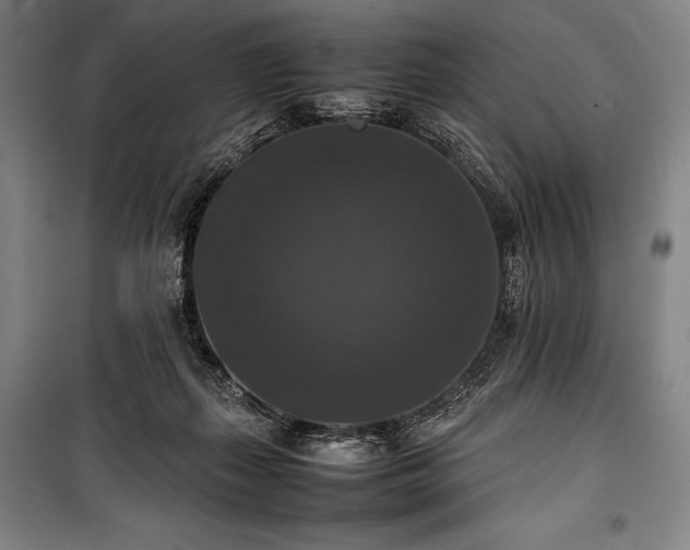 X0000100310267200806121047