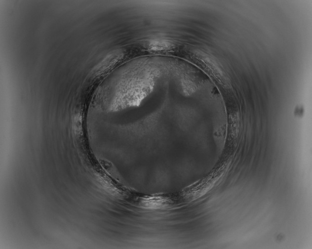 X0000100310269200806121047