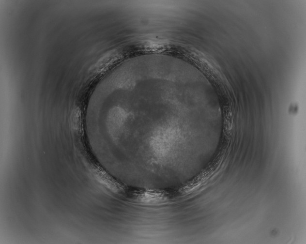 X0000100310270200806121047
