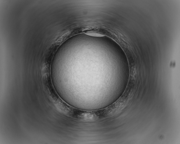 X0000100310272200806121047