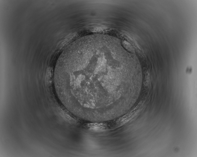 X0000100310273200806121047
