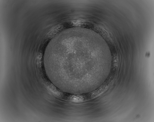 X0000100310275200806121047