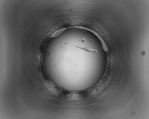 X0000100310276200806121047