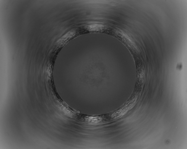 X0000100310277200806121047