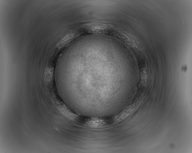X0000100310278200806121047